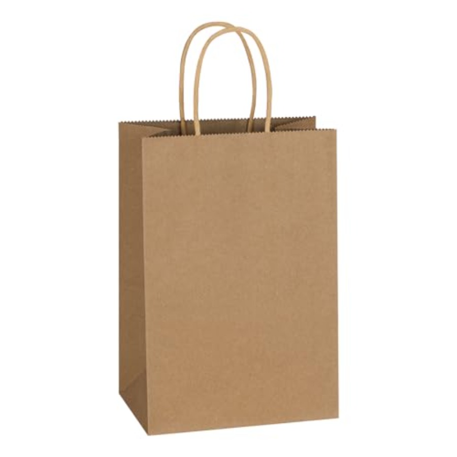 Party Favor Bag - 300팩 5.25x3.25x8.5인치 손잡이가 있는 일반 소형