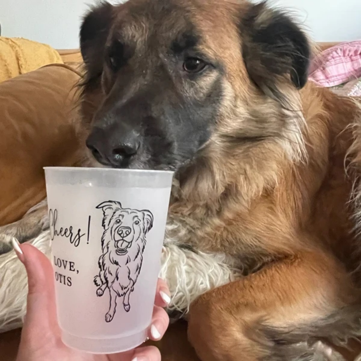 10/50개 개인 맞춤형 시니어 사진 프로스티드 컵,  - Plastic Cup 50Pcs 리뷰 및 가격